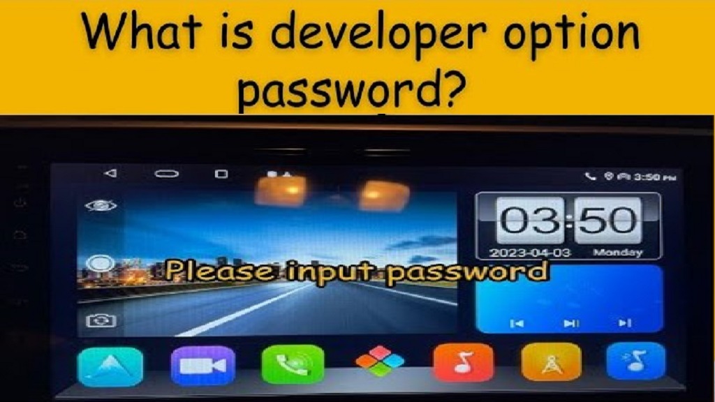 the Password for Developer Options in Android 10
