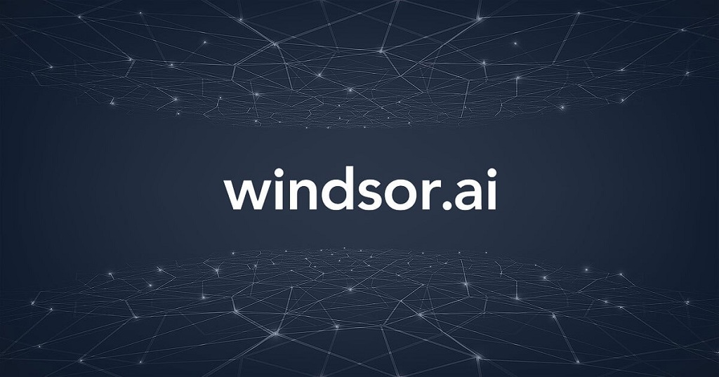 How does Windsor AI work